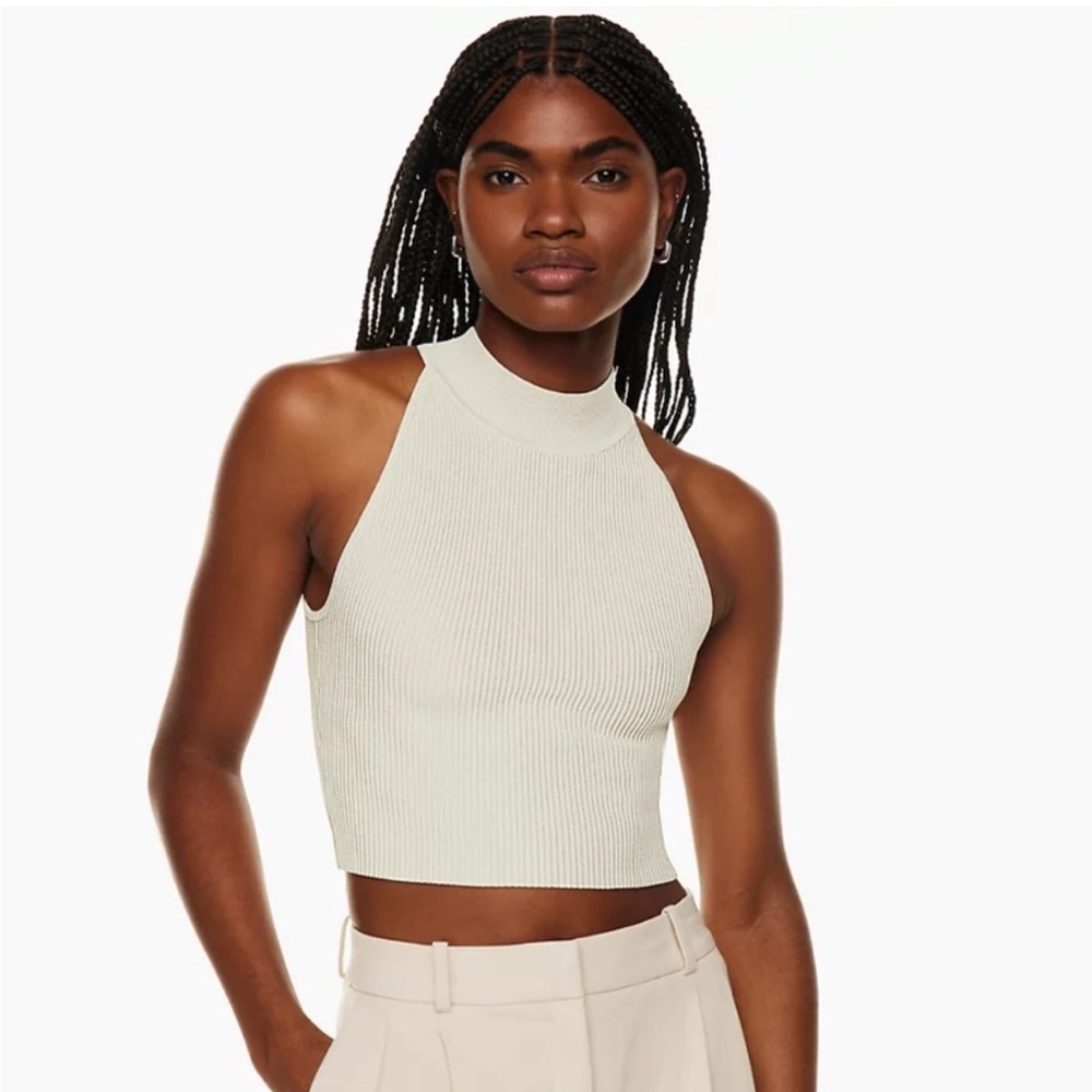 NWOT Aritzia Babaton Sculpt Knit High Neck Top - Matte Pearl, Small